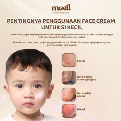 Moell Face Cream Healthy Glow Barrier Face Cream 40gr - Pelembab Wajah Bayi - Plant Based Probiotics Suitable For Sensitive Skin thumbnail 2