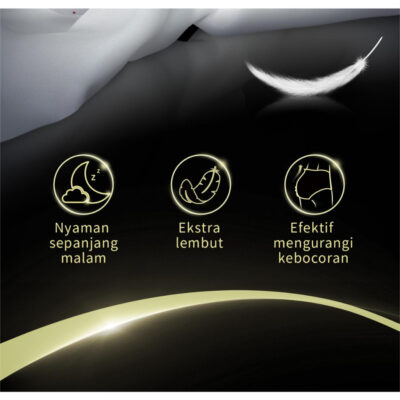 LADIS Dream Series Menstruation Pants Size M/L Celana Menstruasi / Pembalut Wanita Anti Bocor Nyaman dan Lembut thumbnail 6