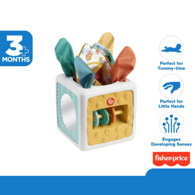 Fisher-Price Tissue Fun Activity Cube - Mainan Edukasi Anak Balita HML64