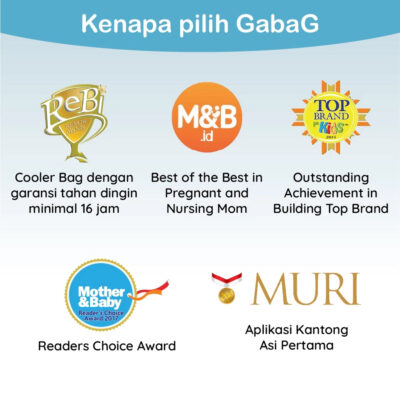 GabaG Tas Asi - Cooler Bag Single Handbag - Tas Bekal - Diaper Bag thumbnail 2