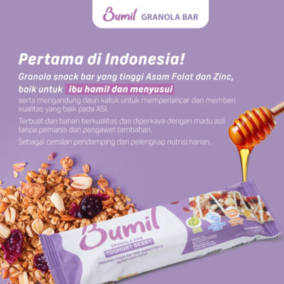 BUMIL Makanan Ringan Bar Rasa Yoghurt Berry / Coklat dengan Daun Katuk [1 pcs] Halal thumbnail 4