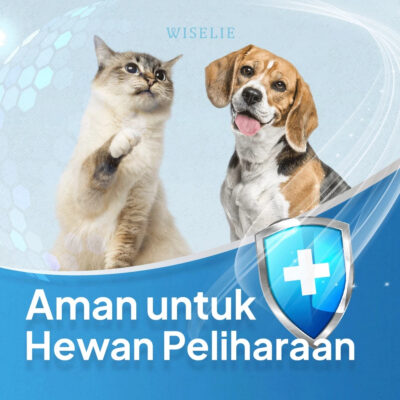 Wiselie Anti Semut Aromatic Penghilang Semut 250ML - Aman dan Alami Dijamin Ampuh Mengusir Semut thumbnail 4