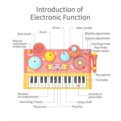 Five Star Learning Fun Musical Piano - Mianan Piano Anak ( 1 Pcs ) thumbnail 5